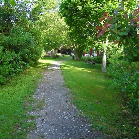 キャンプ場 Etche Zahar